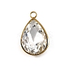 201 Stainless Steel Pendants STAS-F318-01A-G-1