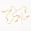 Iron Earring Hooks LS-X-E133-G-2