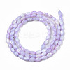 Natural Freshwater Shell Beads Strands X-SHEL-N003-25-B04-2