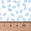 FGB Frosted Transparent Glass Seed Beads SEED-N013-06A-11-4