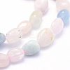 Natural Morganite Beads Strands G-K230-16-3