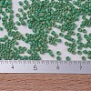 MIYUKI Delica Beads SEED-X0054-DB0877-4