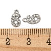 304 Stainless Steel Pendants STAS-L080-002P-06-3