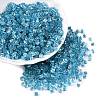 6/0 Transparent Inside Colours Glass Seed Beads SEED-N006-003D-1
