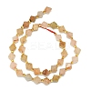 Natural Gemstone Beads Strands G-I376-B21-01-2