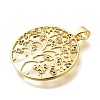 Rack Plating Brass Micro Pave Cubic Zirconia Pendants KK-L226-051G-01-2