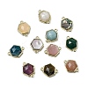 Hexagon Brass & Natural Mixed Gemstone & Shell Links Findings Kits KK-D021-02G-1