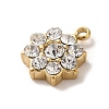 304 Stainless Steel with Crystal Glass Rhinestone Charms STAS-L022-264G-01-2