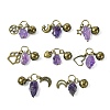 Natural Amethyst Pet Collar Charms HJEW-PH01731-1