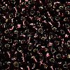 TOHO 6/0 Round Beads X-SEED-TR06-0026C-4