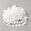 Polyester Lace Ribbon OCOR-WH0111-138D-2