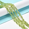 Natural Peridot Beads Strands X-G-E607-A06-4