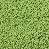 MIYUKI Round Rocailles Beads SEED-G007-RR0416-3