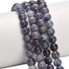 Natural Iolite Beads Strands X-G-G300-A04-6mm-1