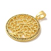 Brass Micro Pave Cubic Zirconia Pendants KK-Z042-25G-02-2