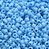 TOHO 6/0 Round Beads X-SEED-TR06-0403F-4