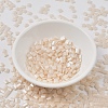 MIYUKI TILA Beads SEED-J020-TL2365-3