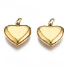 316 Surgical Stainless Steel Charms STAS-N097-045-2