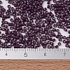 MIYUKI Delica Beads LS-X-SEED-J020-DB2360-4