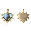 Synthetic Abalone Shell/Paua Shell Charms KK-N233-216-1