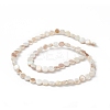 AB Color Plated Natural Freshwater Shell Beads Strands X-BSHE-G033-04-2