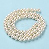 Natural Cultured Freshwater Pearl Beads Strands PEAR-E018-65-3