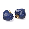 Natural Mixed Gemstone Pendants G-B188-04G-4