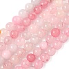 Natural Rose Quartz Dyed Beads Strands LS-G-B046-07-6MM-6