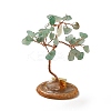 Natural Green Aventurine Chips Tree Display Decorations DJEW-C003-01F-1