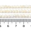 Natural Shell Beads Strands SSHEL-E571-38B-4mm-5