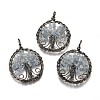 Natural Mixed Gemstone Pendants G-B001-01R-2