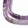 Natural Amethyst Beads Strands G-G990-C01-4