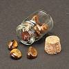 Transparent Glass Wishing Bottle Decoration DJEW-A001-01C-12-2