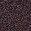 8/0 Glass Seed Beads SEED-A012-3mm-126-2