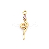 Brass Micro Pave Cubic Zirconia Pendants KK-M321-01E-G04-1
