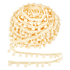 Nylon Pom Pom Ball Tassel Lace Ribbon DIY-WH0580-31C-1
