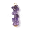 13Pcs Natural Mixed Gemstone Pendants PALLOY-JF02145-01-2