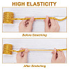 20M Sparkle Flat Elastic Band EC-AR0001-10B-02-3