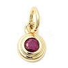 Brass Cubic Zirconia Charms KK-G554-02B-07-1