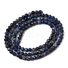 Natural Sodalite Bead Strands G-P279-58-3mm-01-3