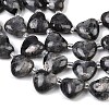 Natural Larvikite Beads Strands G-NH0069-A10-4