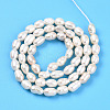 Natural Cultured Freshwater Pearl Beads Strands PEAR-N012-04U-3