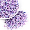 Two Tone Baking Paint Glass Seed Beads SEED-C003-01K-1