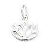 925 Sterling Silver Charms LS-STER-M119-10S-1