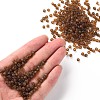 6/0 Glass Seed Beads X1-SEED-A008-4mm-M13-4