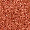 MIYUKI Round Rocailles Beads SEED-G009-RR0424-3