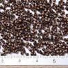 MIYUKI Delica Beads SEED-X0054-DB1051-4