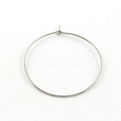 Tarnish Resistant 304 Stainless Steel Earring Hoop LS-STAS-R083-01-1