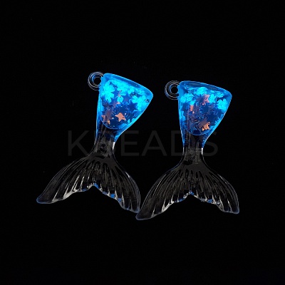 Luminous Transparent Resin Pendants RESI-TAC0009-46D-1