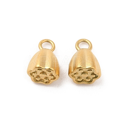 304 Stainless Steel Charms STAS-H214-13G-1
